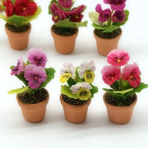 May include: Miniature potted pansies in shades of red, pink, purple, and yellow. The flowers are in small terracotta pots, with green leaves and dark soil. The arrangement is set against a white backdrop.