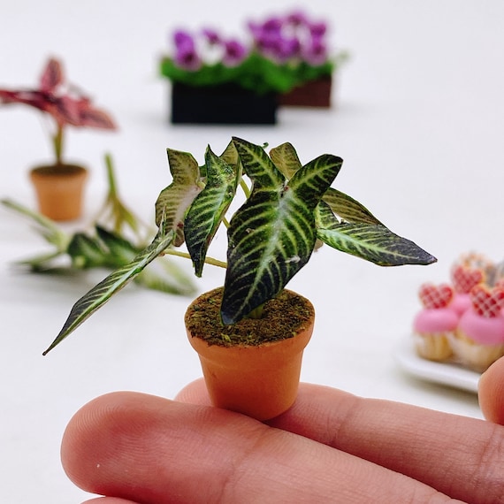 Miniatur Ton Polymer Pflanze: Puppenhaus Feengarten Blume