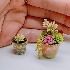 Miniature succulent plants made from clay, Miniature cactus in pot , Dollhouse Miniature Garden 1:12