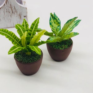 2 pieces Miniature Plant For decorate your Greenhouse or dollhouse or fairy garden.It&#39;s really adorable and realistic.