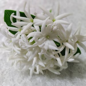 Bridal hair piece / Wedding Hair comb / Dried flowers comb / Decorative flower