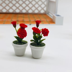 Pode incluir: Duas plantas em vaso em miniatura com flores vermelhas e folhas verdes. Os vasos são de cerâmica branca.