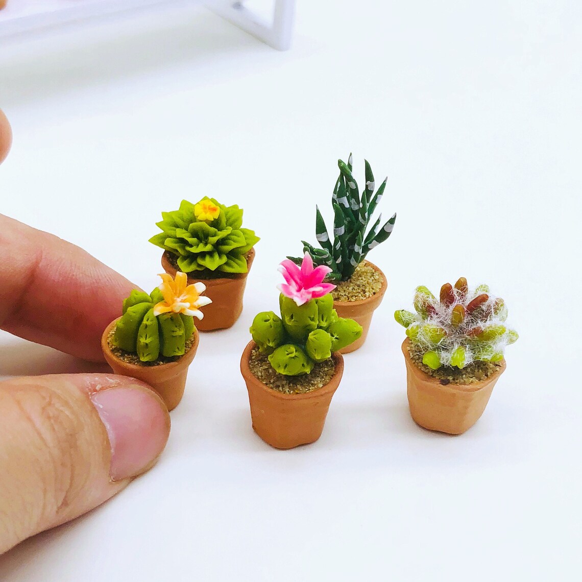 5 Pieces Miniature Cactus Miniature Pot Dollhouse - Etsy