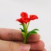 see more listings in the Miniature Flower & Plant section