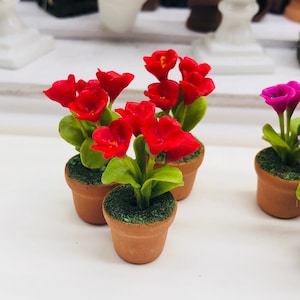 May include: A set of three miniature potted plants with red flowers and green leaves. The pots are terracotta.