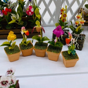 5 pieces Miniature Lady&#39;s Slipper polymer clay, Miniature pot, Dollhouse Flower,Miniature Garden