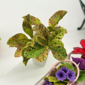 4 pieces Miniature Green Caladium, Miniature Plants for  Garden Dollhouse 1:12