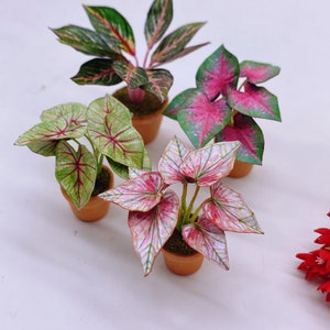 Set De 6 Plantas En Miniatura Para Casa De Muñecas – Escala 1/12, Detalles Realistas, Ideales Para Jardines De Hadas Y Dioramas