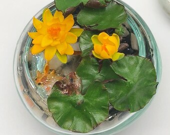 ミニチュア金魚と蓮の鉢：ドールハウス用リアルな偽魚 - Etsy 日本