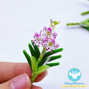 以下が含まれることがあります： 緑の葉が付いたピンクと白のミニチュア蘭。蘭はポリマークレイで作られており、ドールハウスやミニチュアガーデンに最適です。