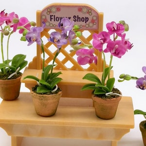 Miniature Phalaenopsis Orchid in Ceramic Pot: Dollhouse Garden Decor