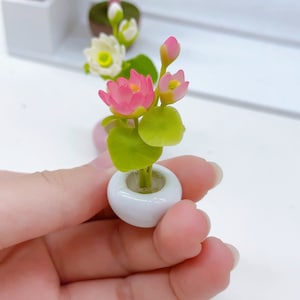 May include: Miniature pink lotus flower in a white ceramic pot. The handcrafted flower has green leaves and several pink buds. The small pot is round and smooth. The background shows other miniature plants.