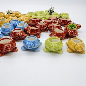 May include: A collection of small ceramic turtle planters in various colors, including brown, blue, green, and yellow. The planters are perfect for small plants or succulents.