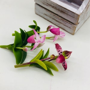 3 miniatuur damesslippers orchideeën, miniatuur tuinpoppenhuis