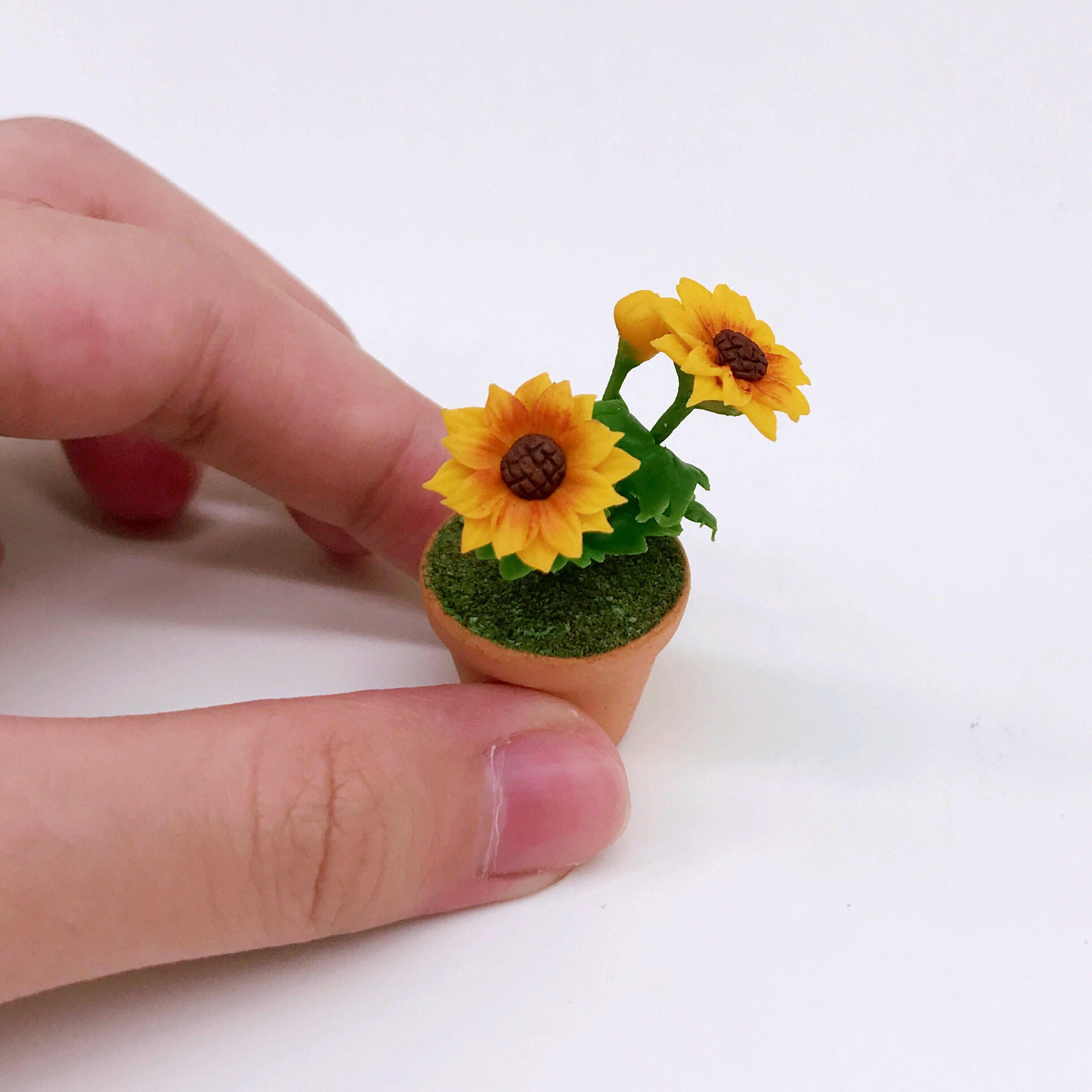 3 Pots Miniature Sunflower,miniature Pot,miniature Orchid