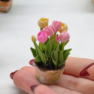 Puede incluir: Miniatura de tulipanes en maceta en tonos rosa y amarillo. Las flores están en plena floración, con hojas verdes y una pequeña maceta de terracota desgastada. Un encantador arreglo floral artesanal.