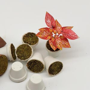 5 pieces Miniature matt whit pot With foam and sawdust blend green For crafts