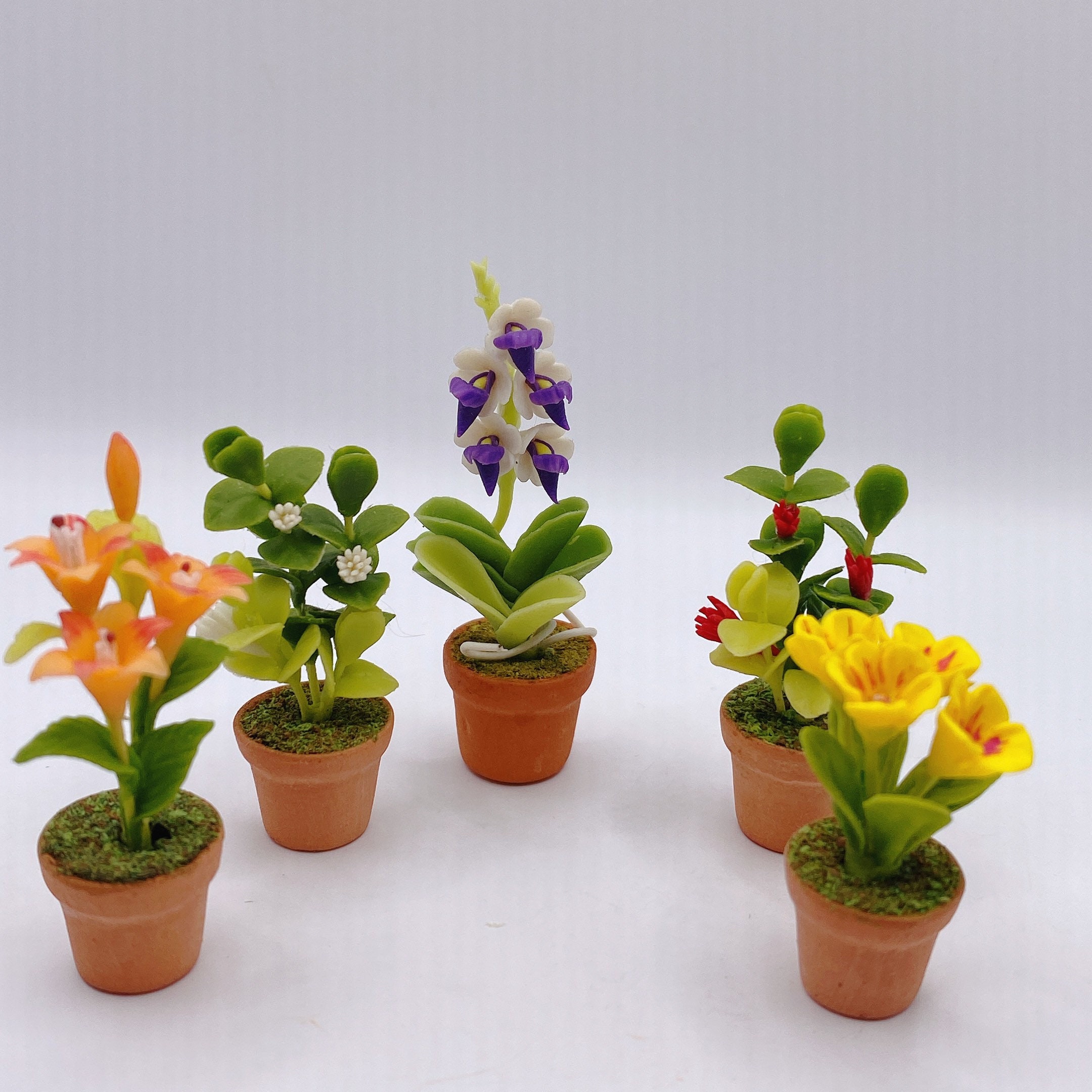 5 pièces Plantes miniatures, Pot miniature, Fleur de maison de poupée,  Jardin miniature -  France