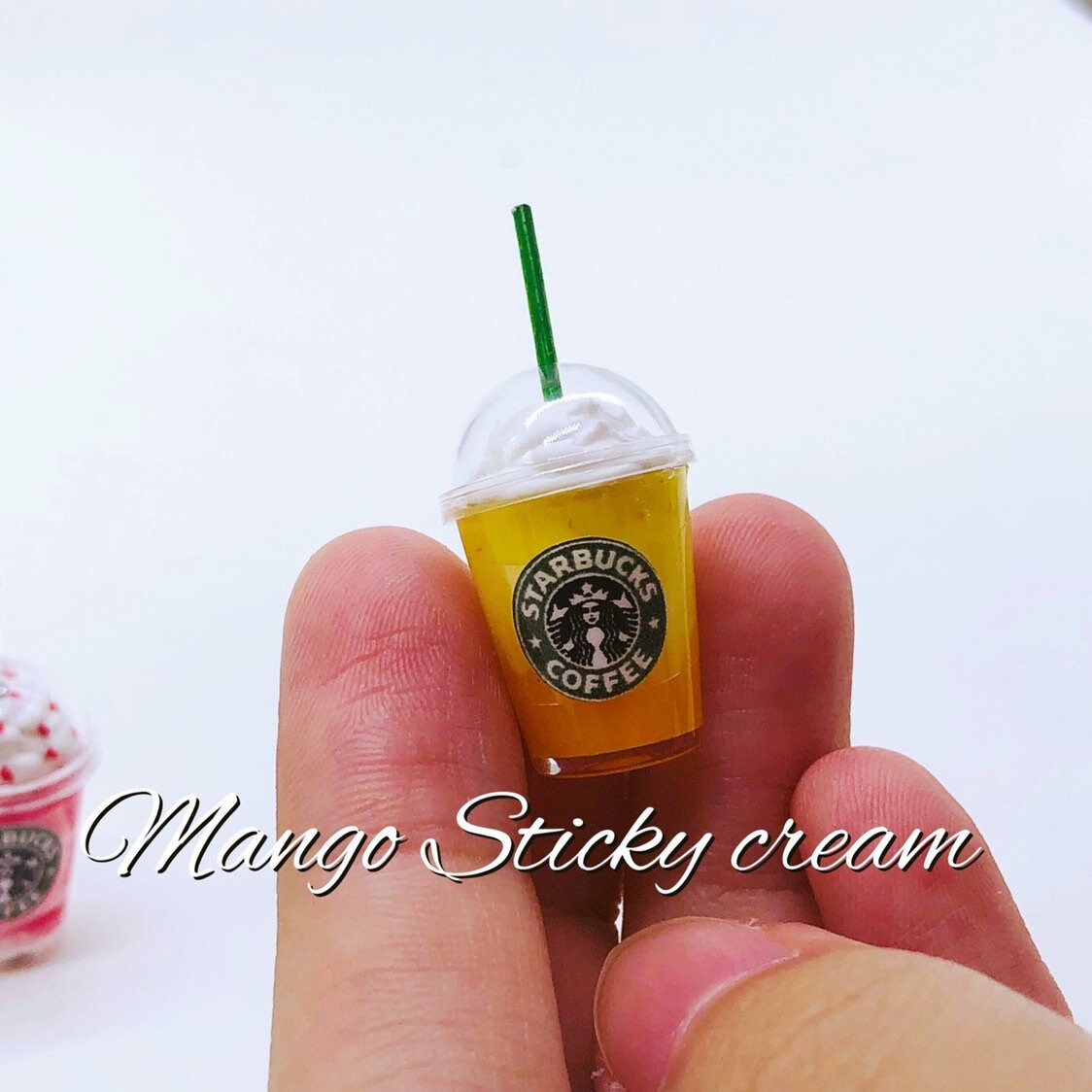 RC 1/10 Scale Accessories STARBUCKS Drink (2)
