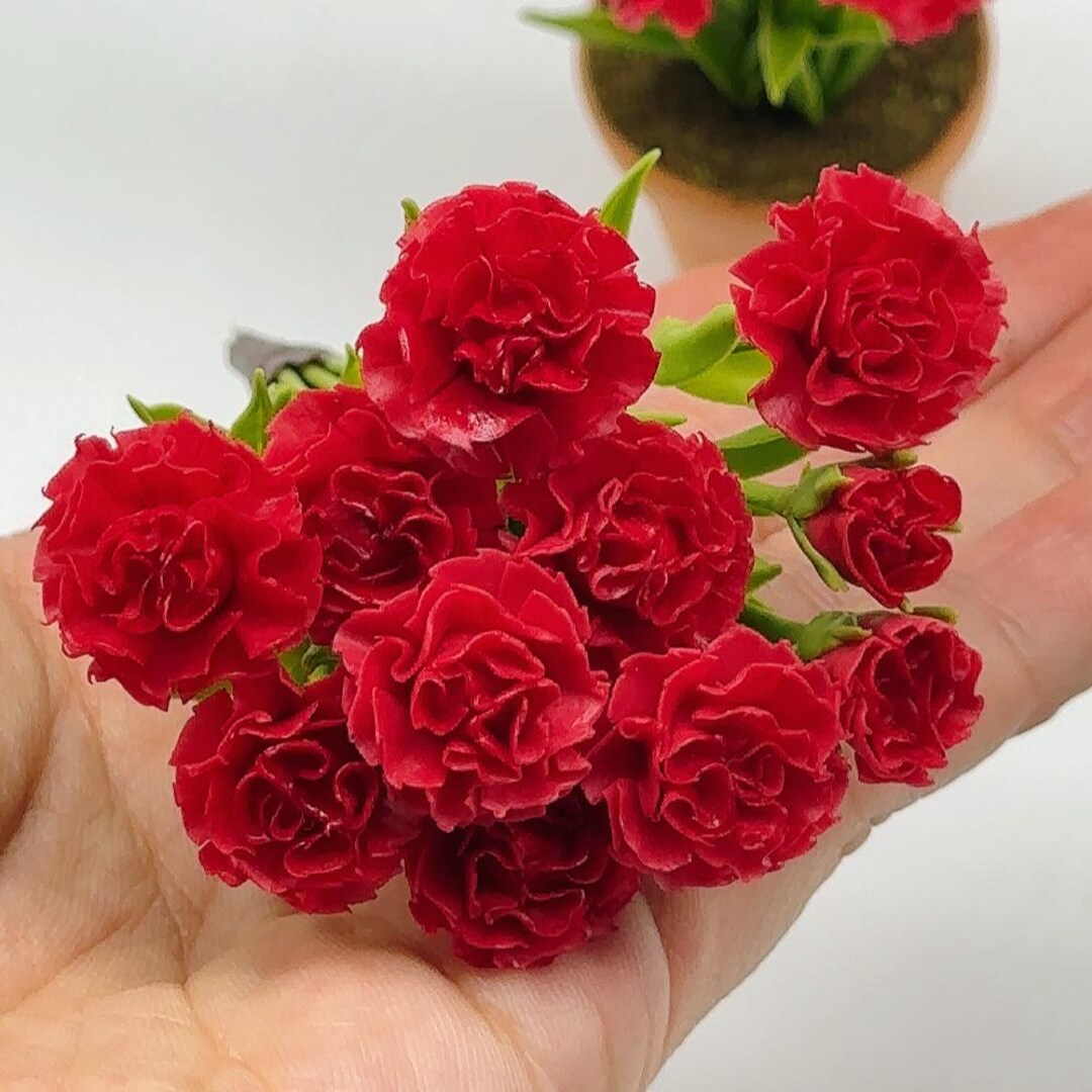 10 Flowers Mini Red Carnation in Pot, Mini Orchids, Dollhouse Flower ...