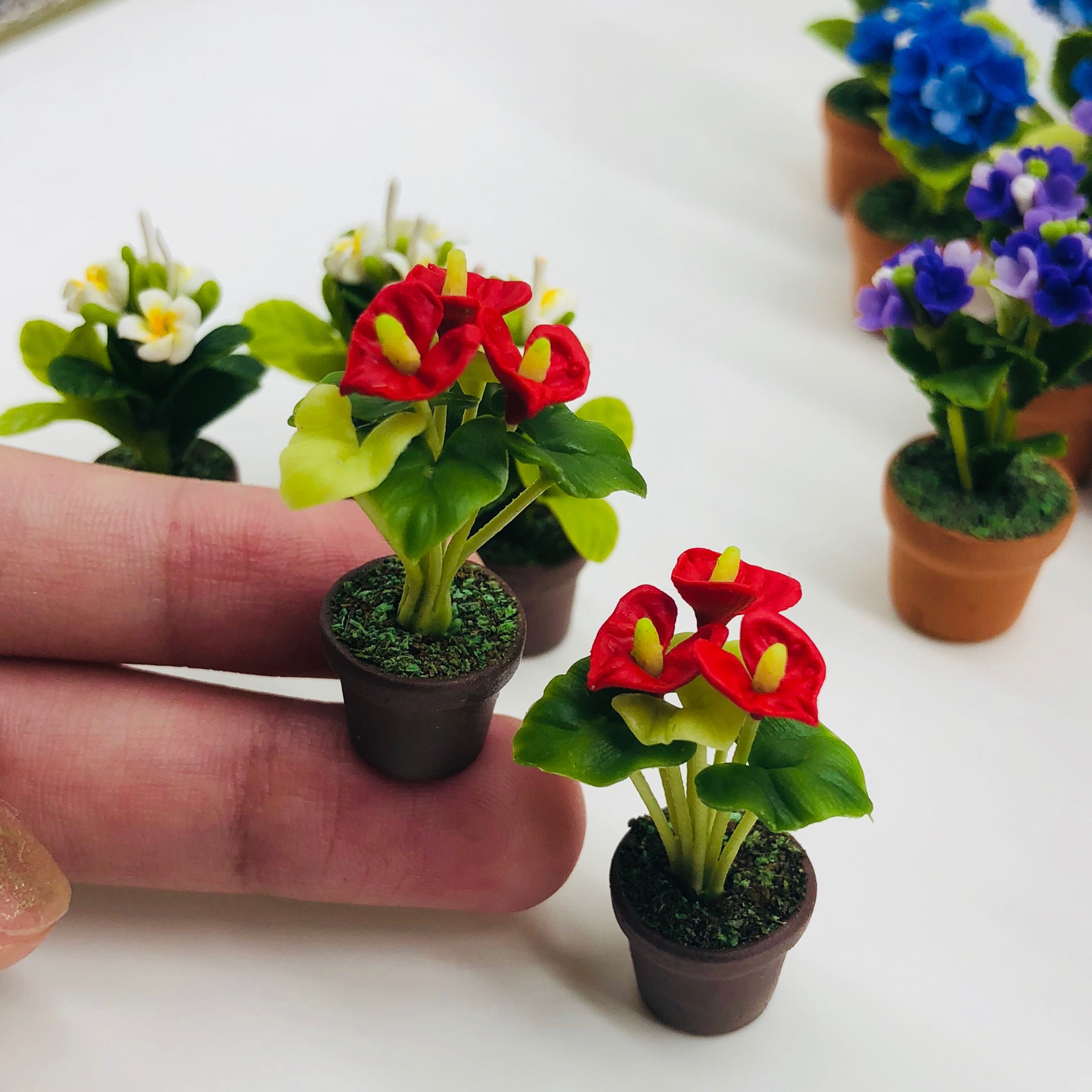 えっちゃん様【ミニチュアフラワー】紫陽花☆鉢植え