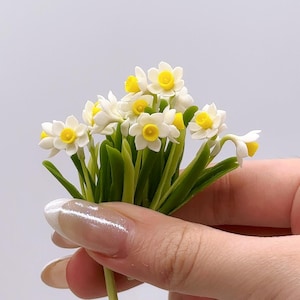 5 Bündel (5 Stück) Miniatur Narzisse Blume weiß-gelb aus Ton Polymer, Miniatur Garten, Puppenhaus 1:12