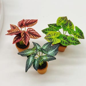 3 pieces Miniature Plants in pot, Miniature Dollhouse Fairy Garden, Dollhouse Flower, Miniature Garden 1:12 scale