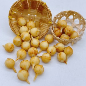 10 pieces Miniature Onion, Dollhouse Kitchen Accessories 1:12 Scale