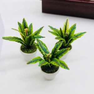 Conjunto de miniaturas de samambaias de argila, decoração para jardim de casa de bonecas (18 mm)
