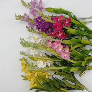 May include: A bouquet of artificial orchid flowers in various colors, including pink, purple, white, and yellow. The flowers are arranged in a fan shape with green stems and leaves.