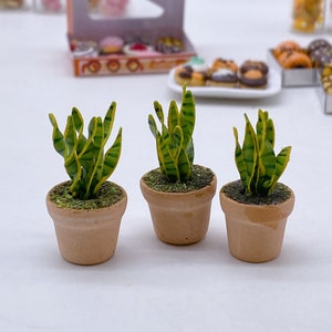 May include: Three miniature potted snake plants. The plants have green and yellow striped leaves and are set in small, terracotta-colored pots. The pots are filled with green, textured soil. The background includes miniature pastries.