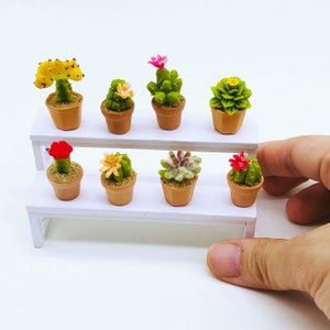 8 pieces Miniature Cactus in pot, Miniature Cactus decorate for dollhouse garden 1:12 scale