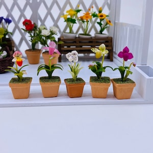 5 pieces Miniature Lady&#39;s Slipper polymer clay, Miniature pot, Dollhouse Flower,Miniature Garden
