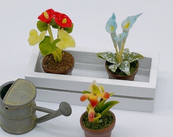 3 pieces Miniature Plants and flower with wooden box for dollhouse fairy garden size 1:12 scale
