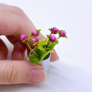 Pode incluir: Uma pequena planta em vaso com flores cor-de-rosa e folhas verdes. A planta está em um vaso prateado e está sendo segurada por uma mão.