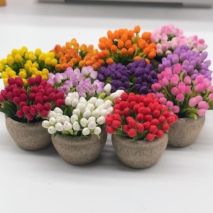 Puede incluir: Surtido de tulipanes en miniatura en macetas de varios colores, incluyendo amarillo, naranja, rojo, blanco, morado y rosa. Las macetas son todas marrones y tienen una superficie texturizada.