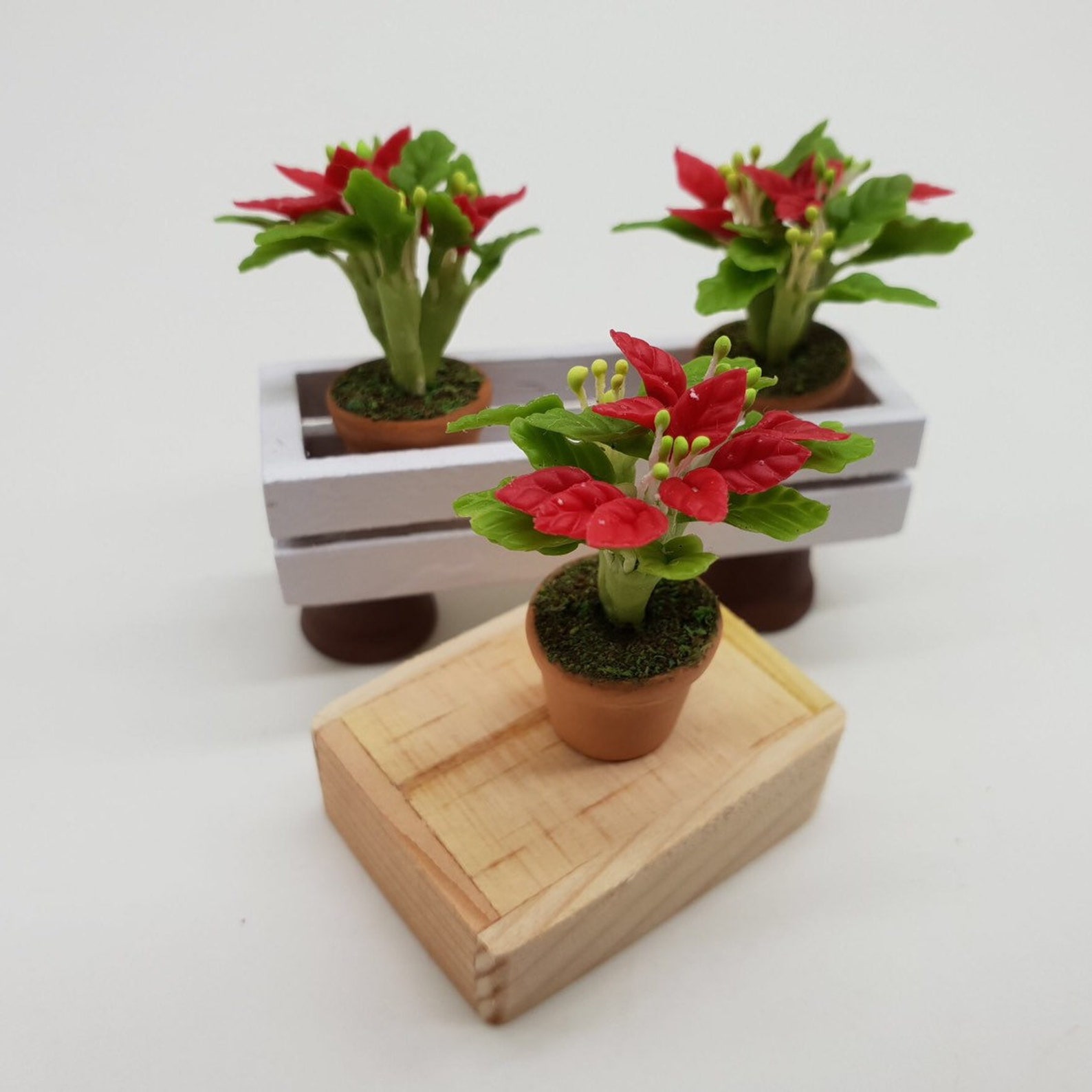 3 Pieces Miniature Poinsettia in Pot Miniature Plant in Etsy