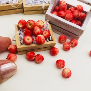 10 pieces Miniature Apple decorate Dollhouse, Miniature fruit 1:12