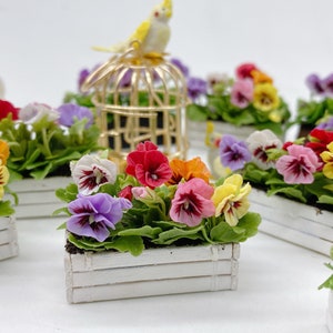 Miniature Pansy in white wooden box, Miniature flower,Miniature Miniature Dollhouse Fairy Garden,Dollhouse Flower,Miniature Garden 1:12