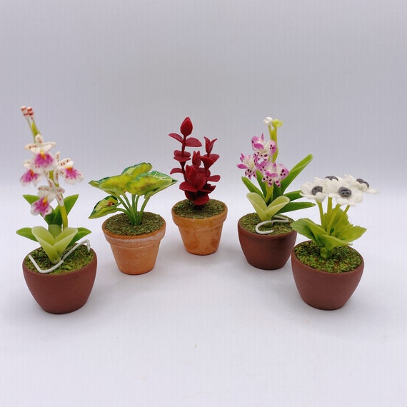 5 pièces Plantes miniatures, Pot miniature, Fleur de maison de poupée,  Jardin miniature -  France