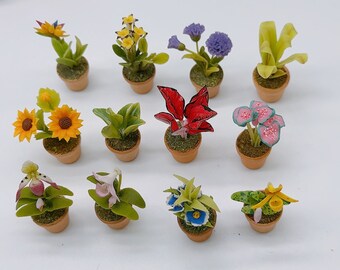 12 pieces Miniature Plants and Flower in pot , Miniature plant in pot, Miniature garden 1:12