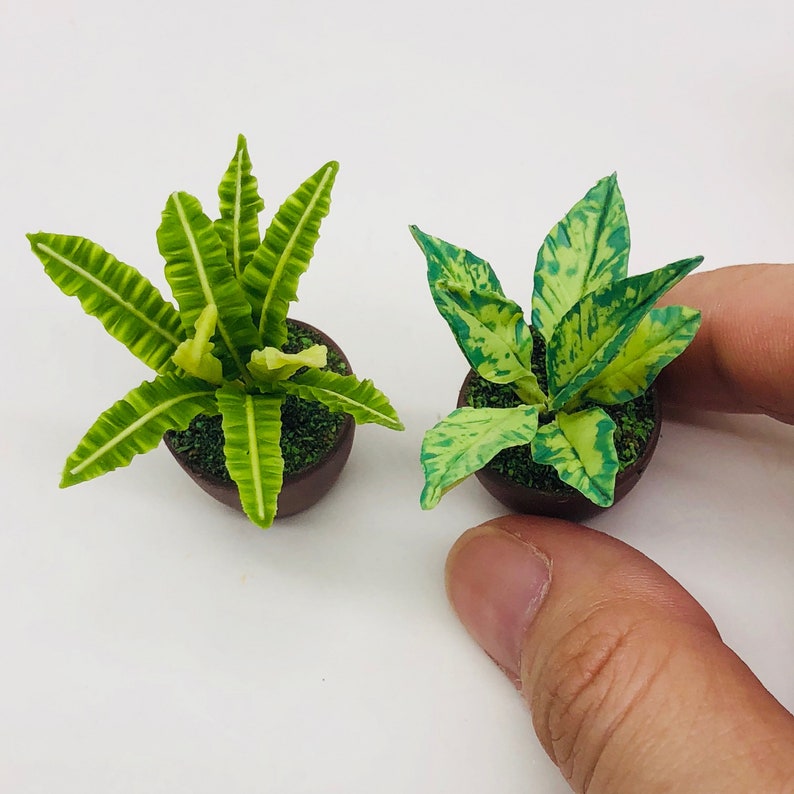 2 Pieces Miniature Plant for Decorate Your Greenhouse or Etsy