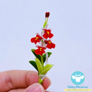 May include: A miniature red and white orchid flower with green leaves. The flower is made of polymer clay and is about 2 inches tall.