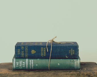 Vintage Books - Set of 2