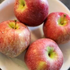 Jonathan-appelboomzaden