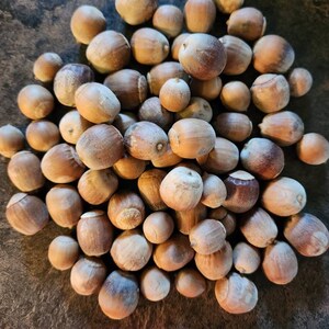 May include: A pile of hazelnuts with brown shells. The nuts vary in size and shape, with some showing a darker, mottled appearance. The image is a close-up shot, highlighting the texture and details of the nuts.