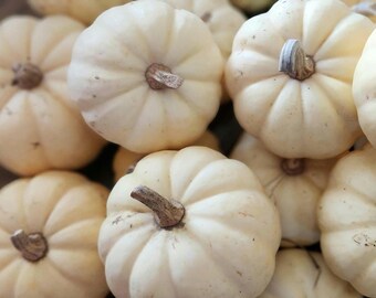 Casperita Pumpkin Seeds