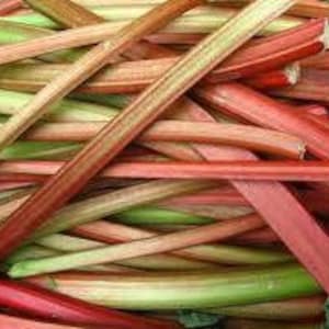 Rhubarb seed