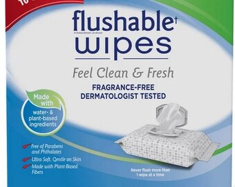 Kirkland Signature Premoistened Flushable Wipes, Fragrance Free