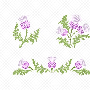 Puede incluir: Ilustración digital con diferentes arreglos de flores de cardo. La imagen muestra flores de cardo moradas con hojas verdes en varios arreglos, incluyendo una sola flor, un grupo y un diseño de borde, sobre un fondo blanco.